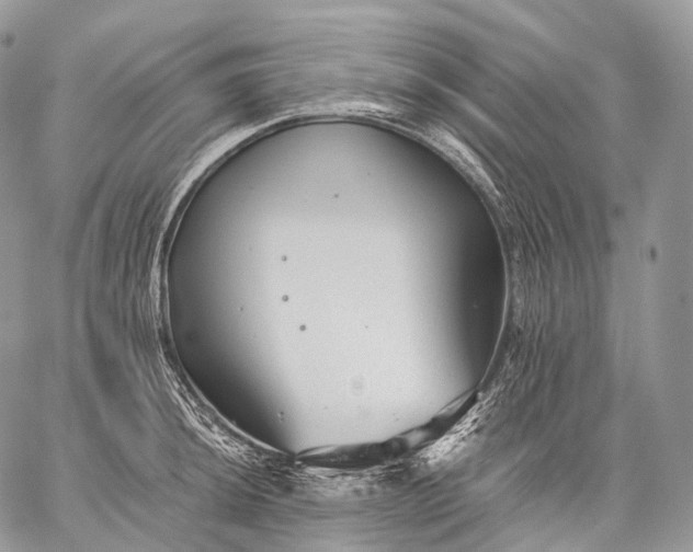 X0000059081044200510211537