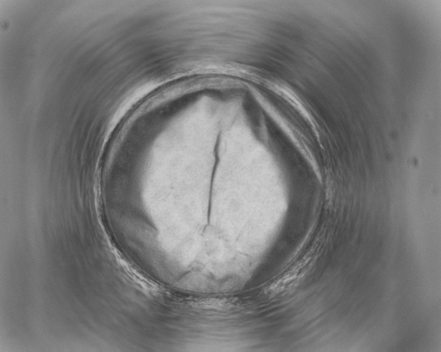 X0000059081048200510211537