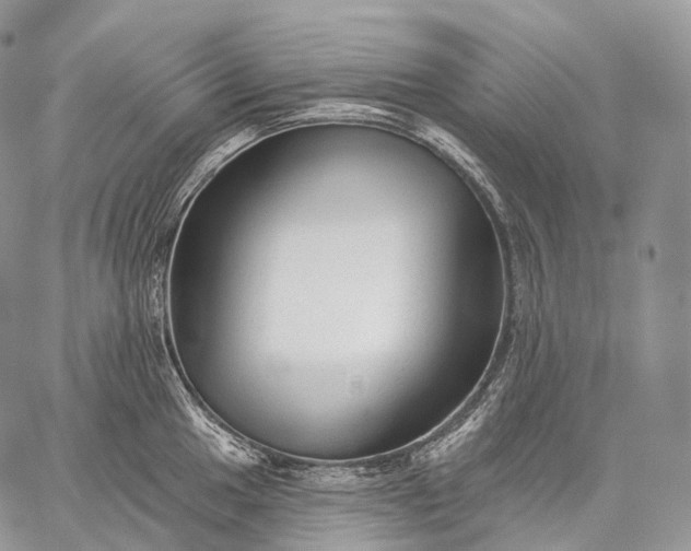 X0000059081049200510211537