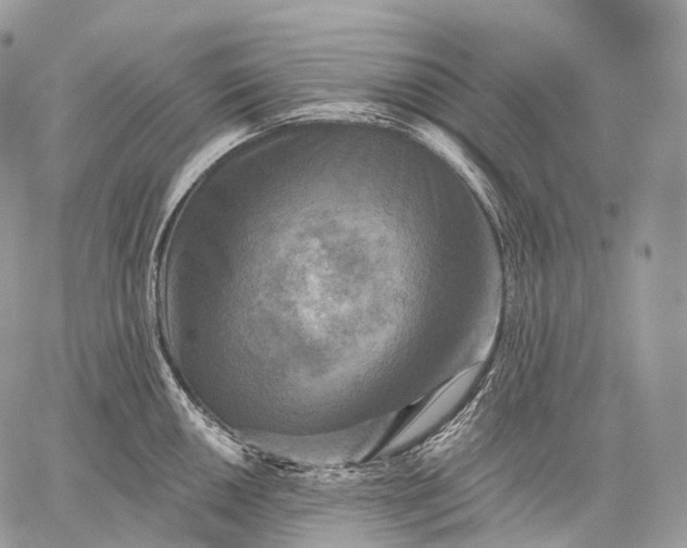 X0000059081050200510211537