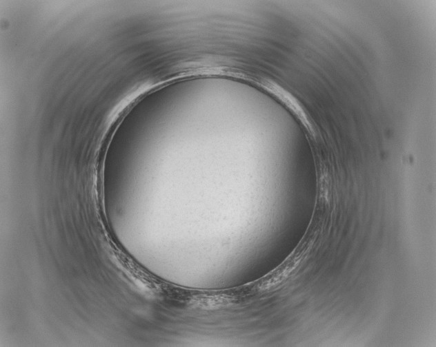 X0000059081051200510211537