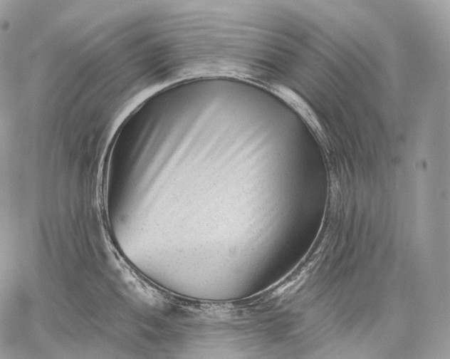 X0000059081052200510211537