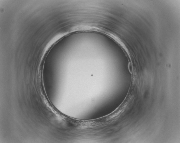 X0000059081053200510211537