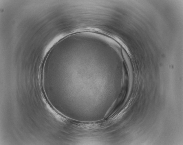 X0000059081054200510211537