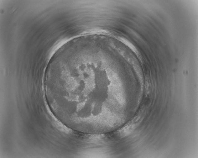 X0000059081055200510211537