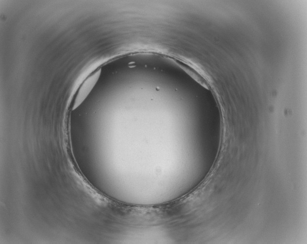 X0000059081056200510211537