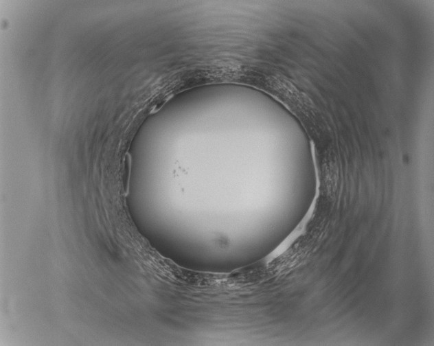 X0000059081057200510211536