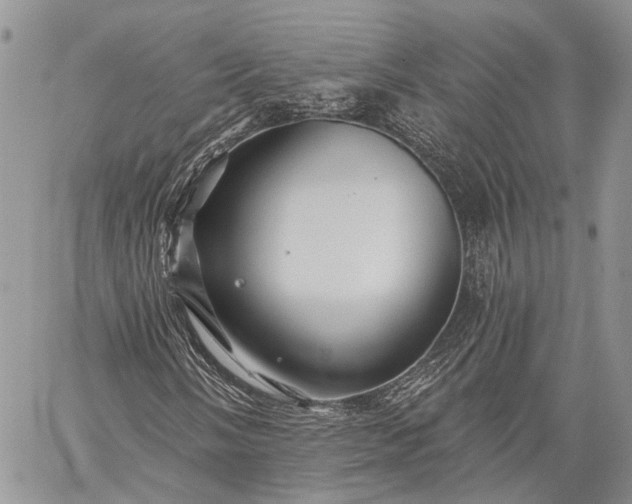 X0000059081058200510211536