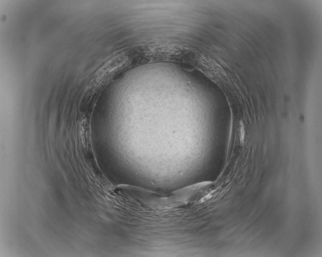 X0000059081059200510211536