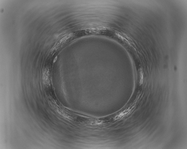 X0000059081060200510211536