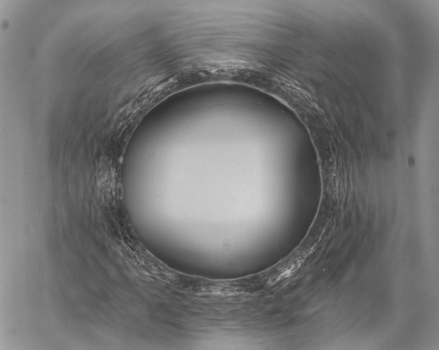 X0000059081061200510211536