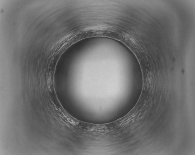 X0000059081062200510211536