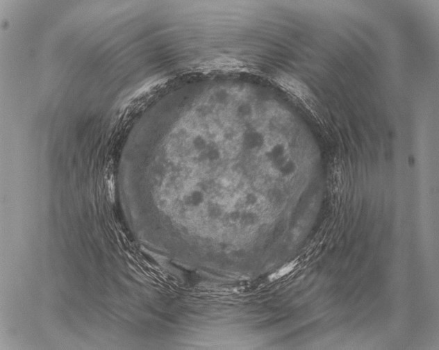 X0000059081063200510211536