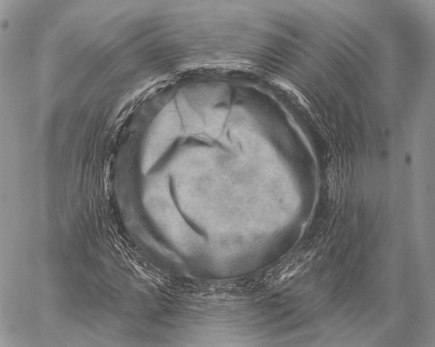 X0000059081064200510211536