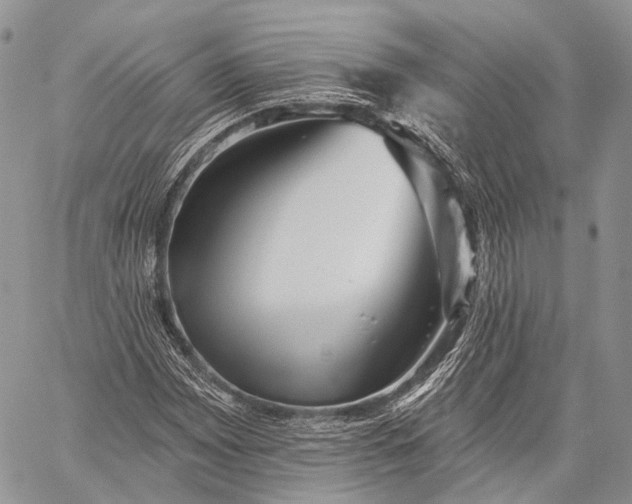 X0000059081065200510211536