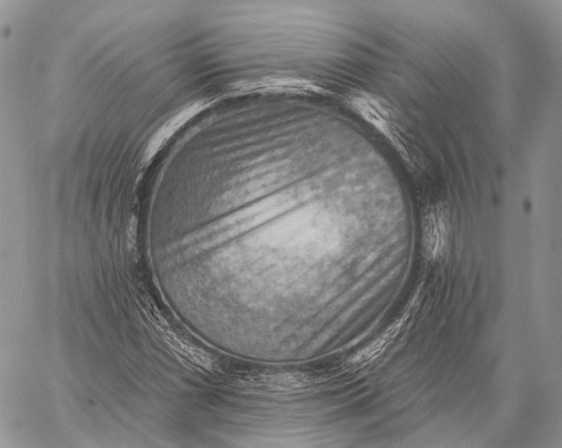 X0000059081066200510211536