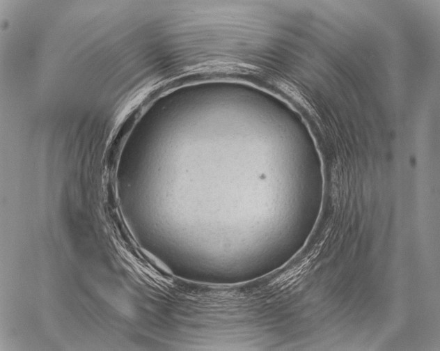 X0000059081067200510211536