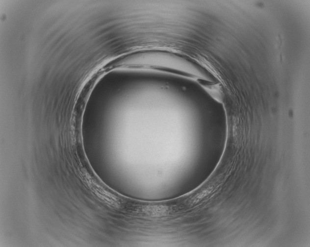 X0000059081068200510211536