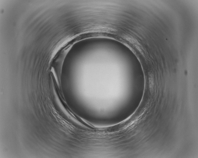 X0000059081069200510211536