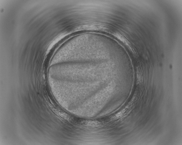 X0000059081070200510211536