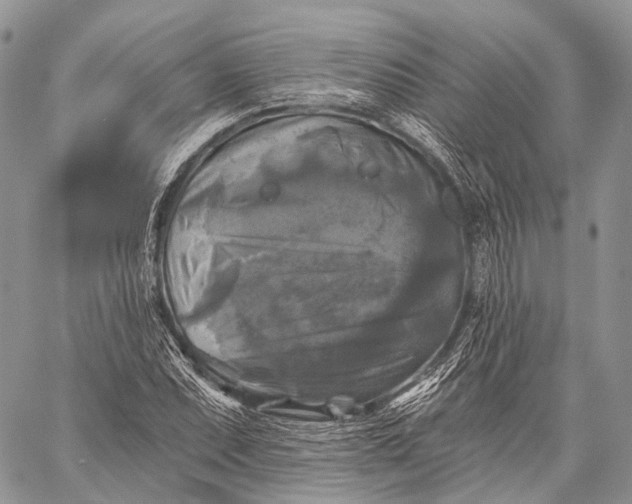 X0000059081071200510211536