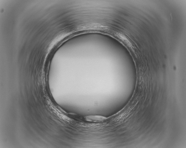 X0000059081072200510211536