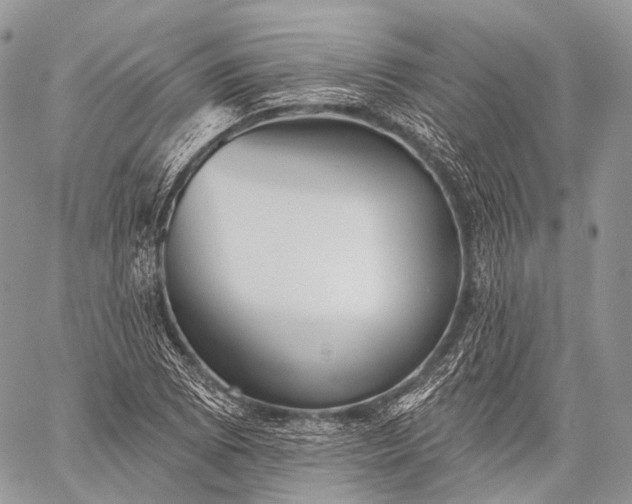 X0000059081073200510211536