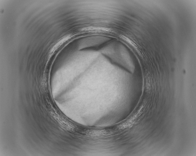 X0000059081074200510211536