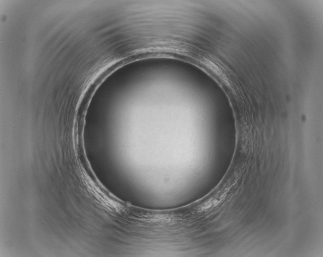 X0000059081076200510211536