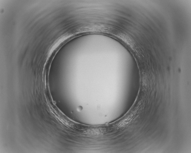 X0000059081078200510211536