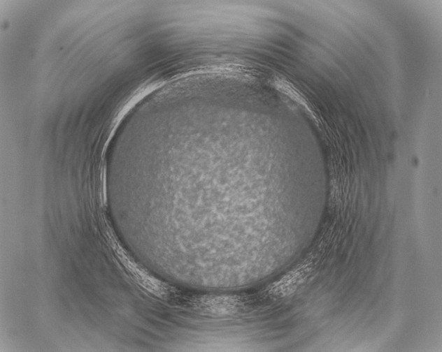 X0000059081079200510211536