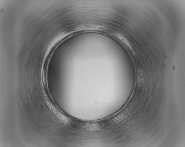 X0000059081080200510211536