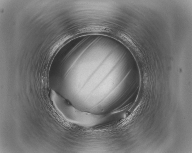 X0000059081081200510211536