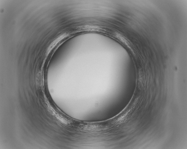 X0000059081082200510211536