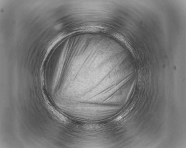 X0000059081083200510211536