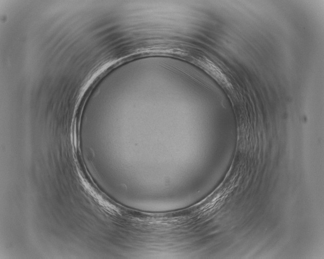 X0000059081084200510211536