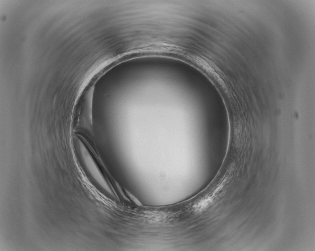 X0000059081085200510211536