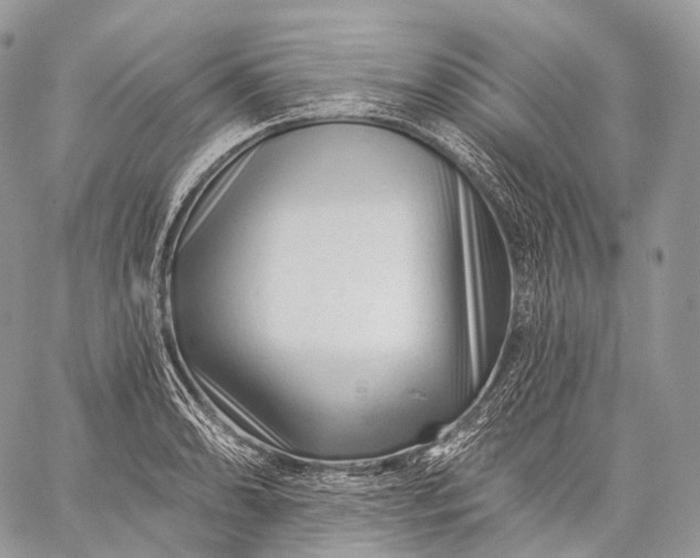 X0000059081086200510211536