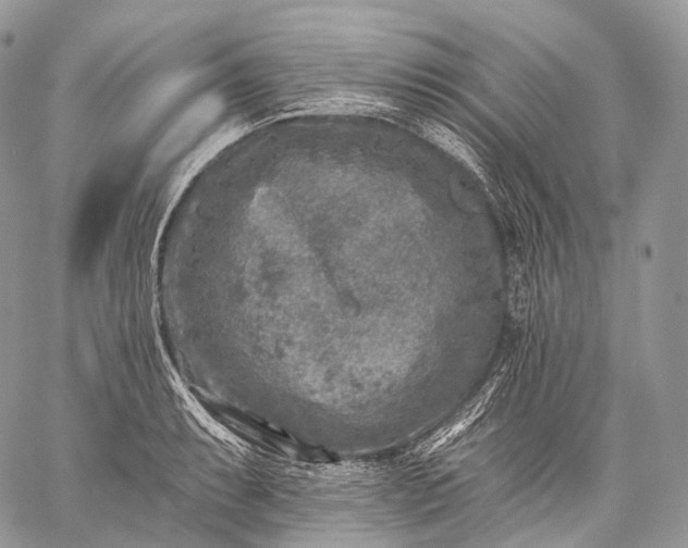 X0000059081087200510211536