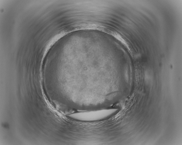 X0000059081088200510211536