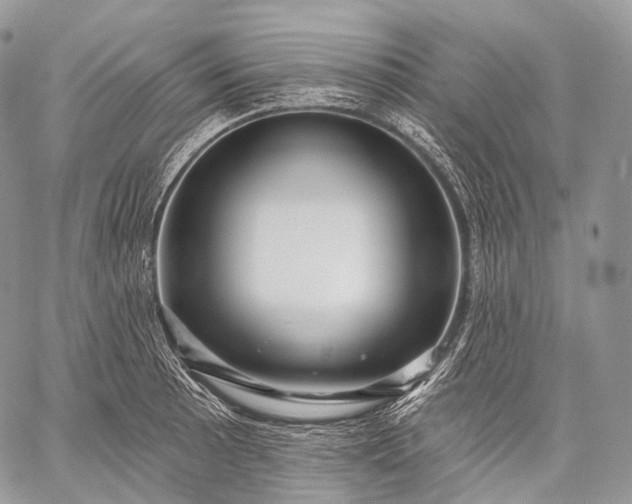 X0000059081089200510211536