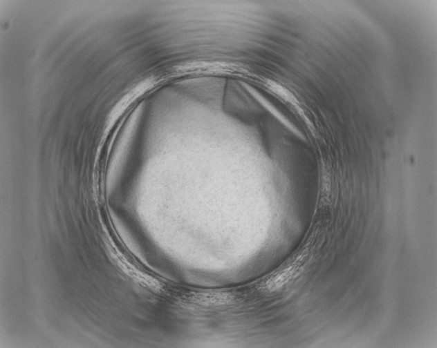 X0000059081090200510211536