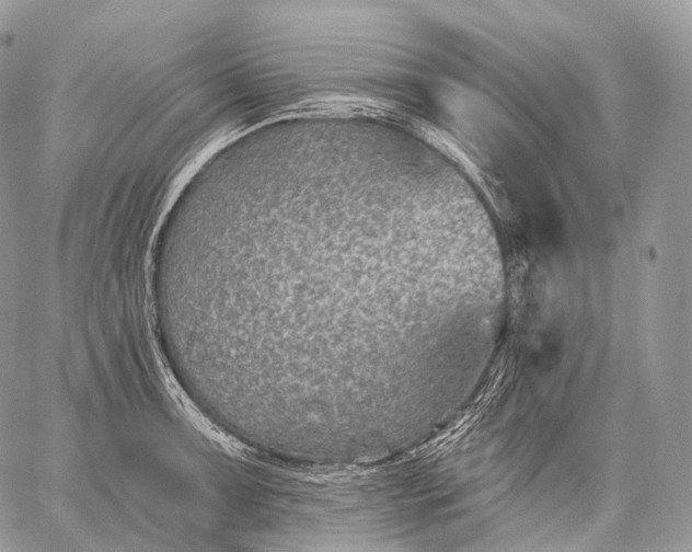 X0000059081091200510211536