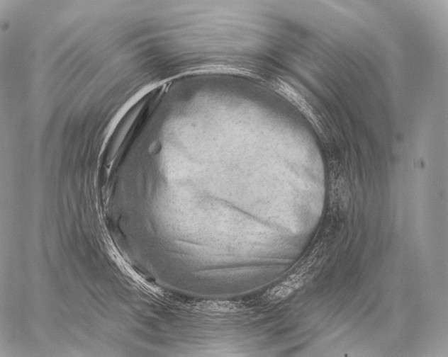 X0000059081092200510211536