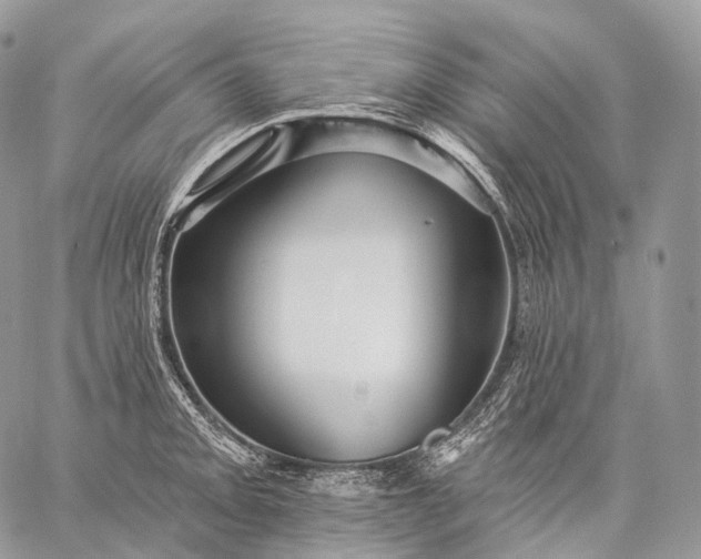 X0000059081093200510211536