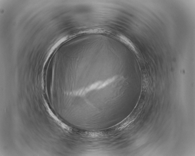 X0000059081095200510211536