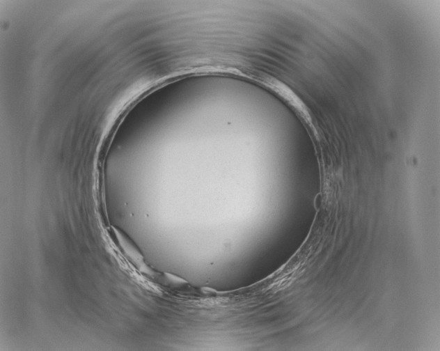 X0000059081096200510211536