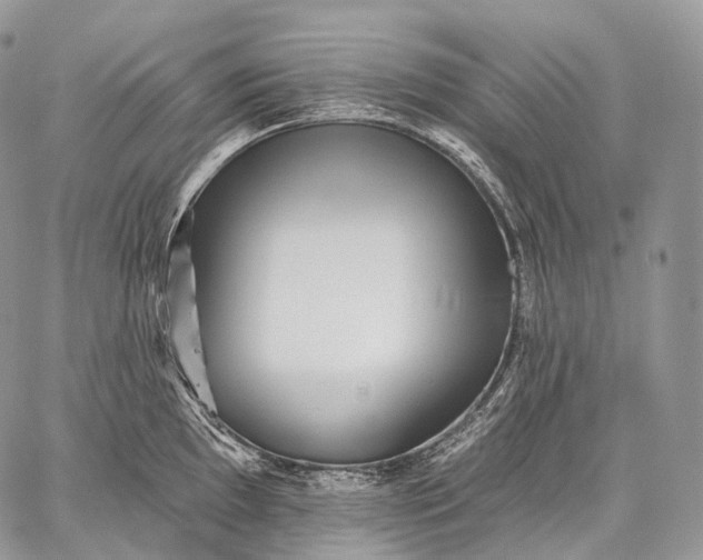 X0000059081097200510211536