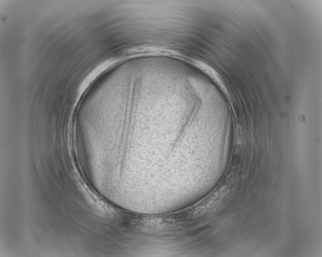 X0000059081098200510211535