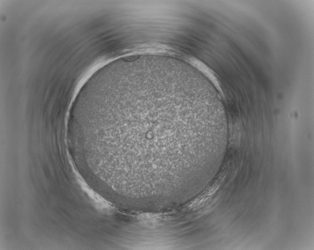 X0000059081099200510211535